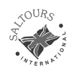 Saltours - Logo