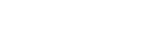 Vidma Security - Logo